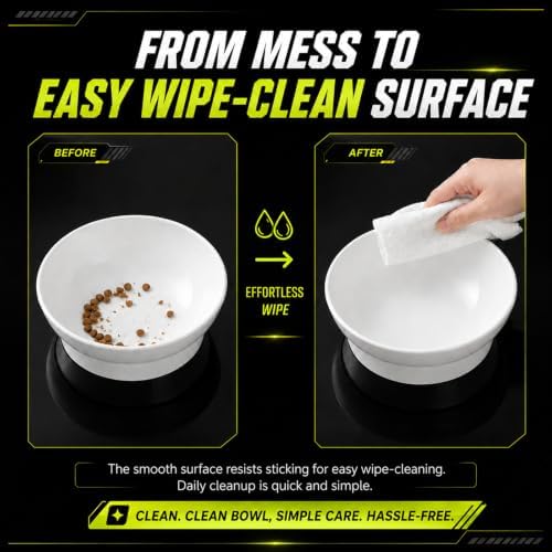 LivLab Mker Raised Cat Bowl, 15° Tilted, 4.5 in High, White