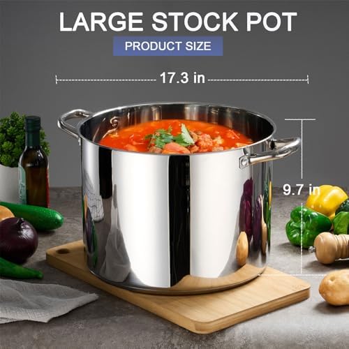 LIANYU 20 QT Stainless Steel Large Stock Pot, Heavy Stockpot with Glass Lid