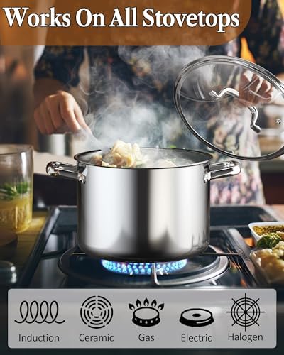 Cook N Home 12 Quart Tri-Ply Clad Stainless Steel Stockpot with Lid