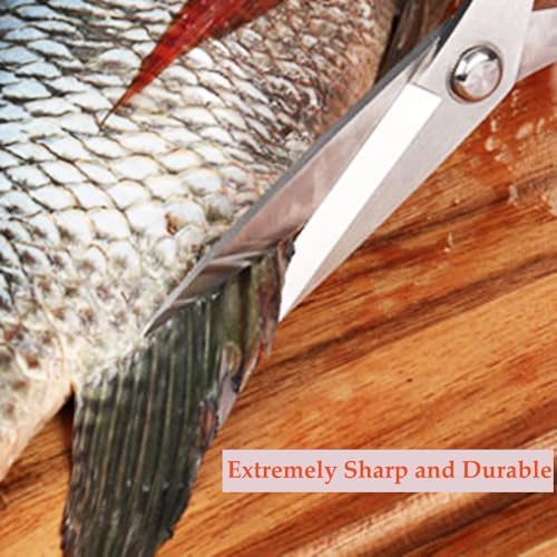 Stainless Steel Kitchen Scissors, Heavy Duty Multipurpose Shears for Food