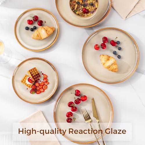 LERATIO Ceramic Dinner Plates Set of 6,10.5 Inch Reactive Glaze Plate Sets