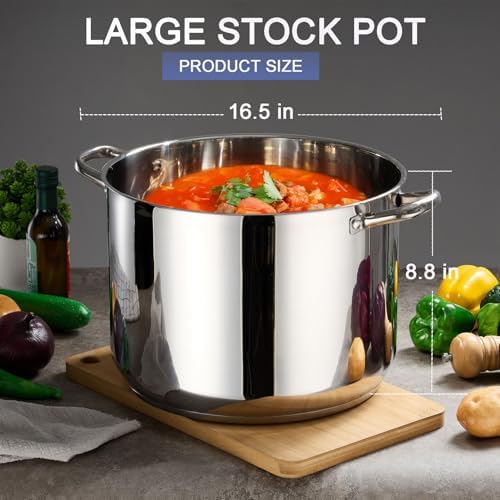 LIANYU Stainless Steel Large Stock Pot, 16 QT Heavy Stockpot with Glass Lid
