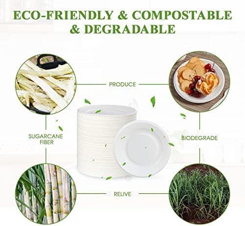 Vplus 100% Compostable Small Paper Plates, 300 Pack 6 Inch, Uncoated