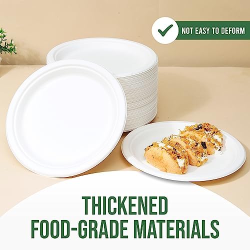 TaidMiao 9 inch Paper Plate Heavy Duty Disposable,100% Compostable,100 Pack