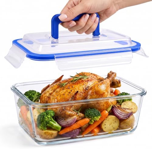 Razab 3000 ml / 102 oz Large Glass Storage Container with Easy Carry Handle