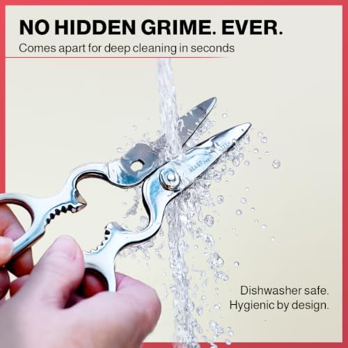 Kitchen Scissors & Shears – All Stainless Steel, Come-Apart
