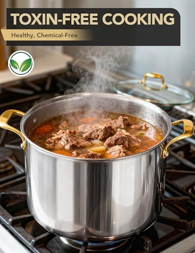 MICHELANGELO Stainless Steel Stock Pot - 20 Quart Soup Pot with Lid & Ergonomic Handle, Extra-Large Pots for Cooking, Suitable for All Stoves