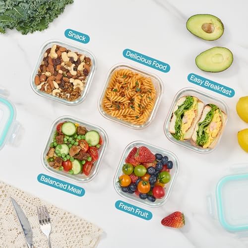 Vtopmart 2Pack 17.5oz Glass Meal Prep Food Container Sets with Lids