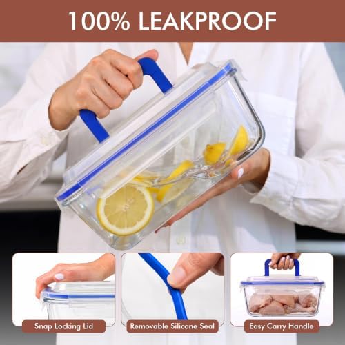 Razab 3000 ml / 102 oz Large Glass Storage Container with Easy Carry Handle