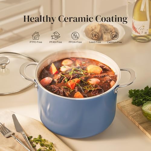 Redchef Nonstick Stock Pot with Lid 8 QT, Ceramic Large Pasta Pot for All Stovetops, Stockpot Cooking Soup Pot for Kitchen, PFOA Free, Sturdy Handles, Even Heating, Oven/Dishwasher Safe, Blue
