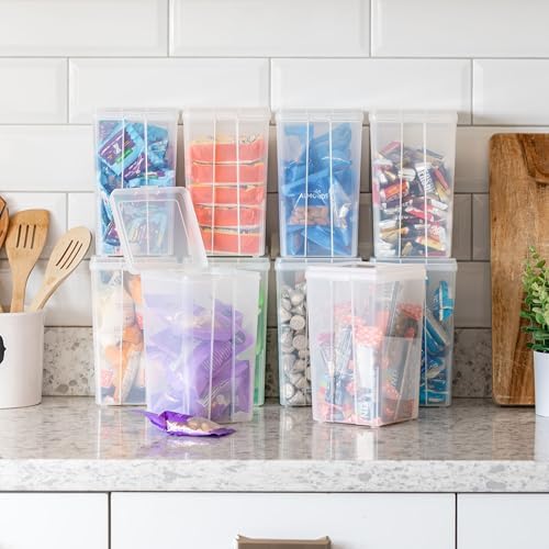 IRIS USA Flip Top Storage Containers |Made in USA| Medium (10-Pack) - Clear