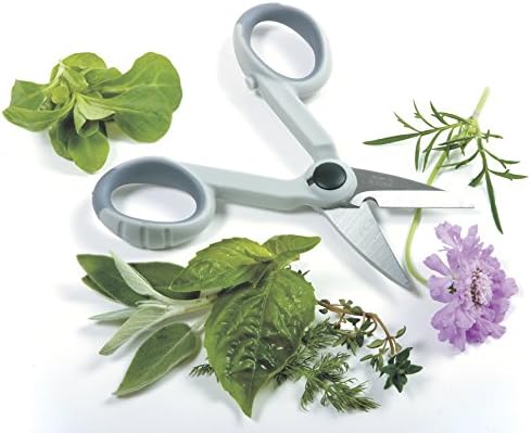 Norpro My Favorite Scissors (1536)