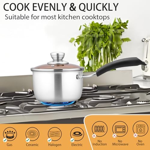 P&P CHEF 1 Quart Sauce Pan With Lid, Small Pot Saucepan, 1 Pc