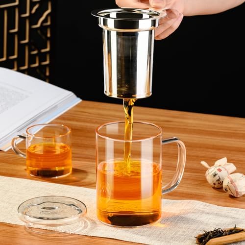PARACITY Tea Mug with Infuser and Lid, 15 oz Clear Borosilicate Tea Cup