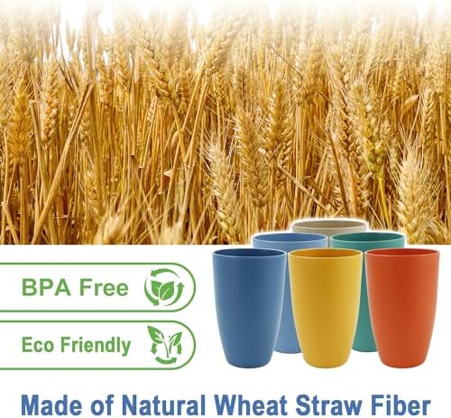 20 OZ Wheat Straw Cups, Large Plastic Cups Set of 6 (Multicolor)