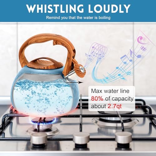GGC Whistling Tea Kettle for Stove Top, 3.2QT/3L Stainless Steel Tea Kettle