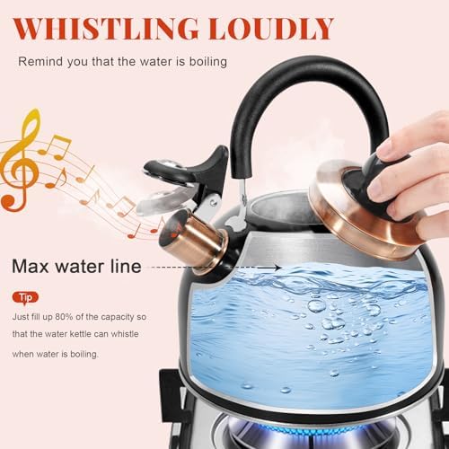 GGC Whistling Tea Kettle for Stove Top, 85OZ/2.6QT Stainless Steel Tea Pot