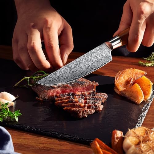 SENKEN 6-Piece Damascus Steel Steak Knife Set - Non-Serrated Steak Knives with Sycamore Wood Handles - The Dynasty Collection - 67-Layer Japanese VG10 Steel (6-Piece Steak Knife Set)