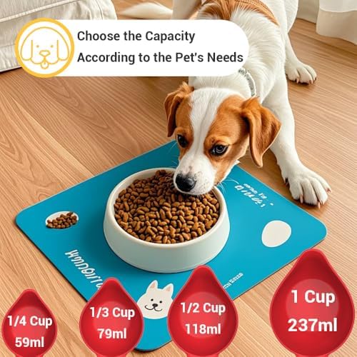 4-Piece Braille Kitchen Measuring Cups for Blind & Visually Impaired