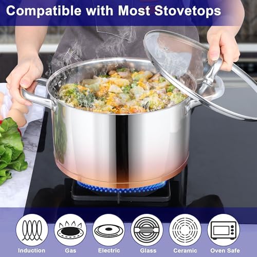 LIANYU Stainless Steel Stock Pot, 8 QT Large Soup Pot for Home Kitchen
