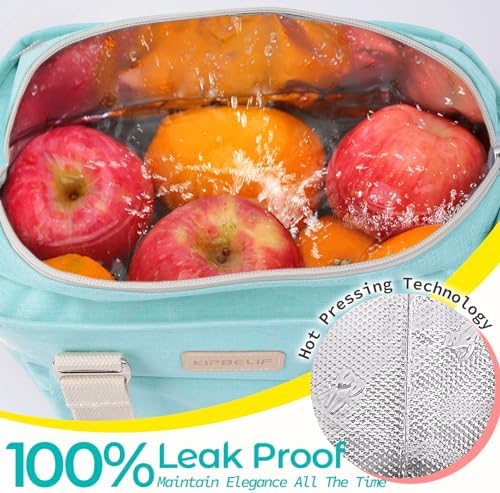 Classy Insulated Lunch Bags for Women, Large Lunch Box for Work & Picnic