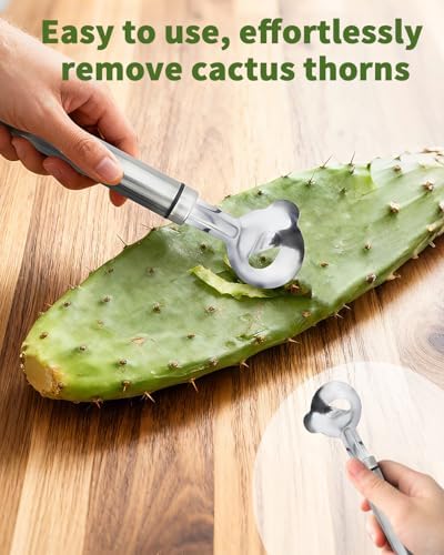 2 PCS Cactus Peeler Tool, Cactus Peeler Spoon, Long Handle Knife with Hole, Kitchen Gadget Accessories