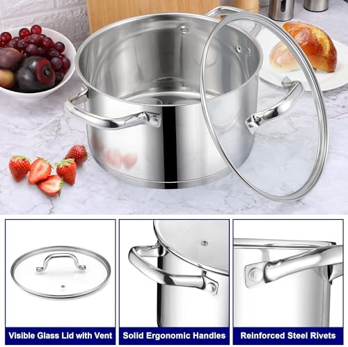 LIANYU Stainless Steel Stock Pot, 8 QT Large Soup Pot for Home Kitchen