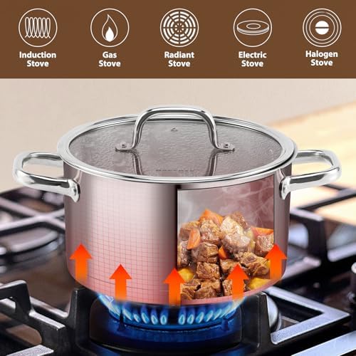 Rorence Stainless Steel Stock Pot, 6-Quart