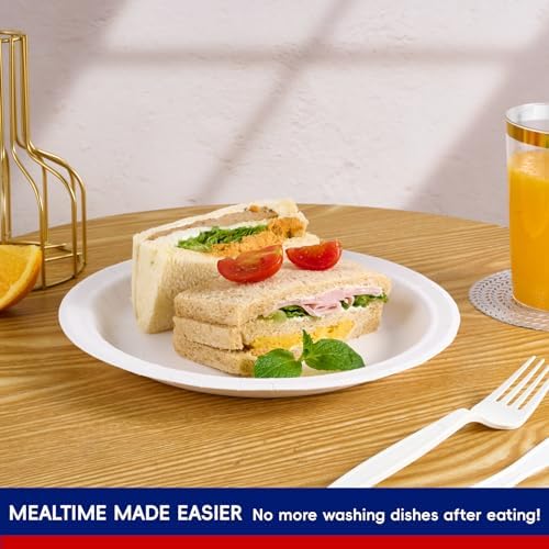 JOLLY CHEF Paper Plates 500 Count 10 inch Disposable