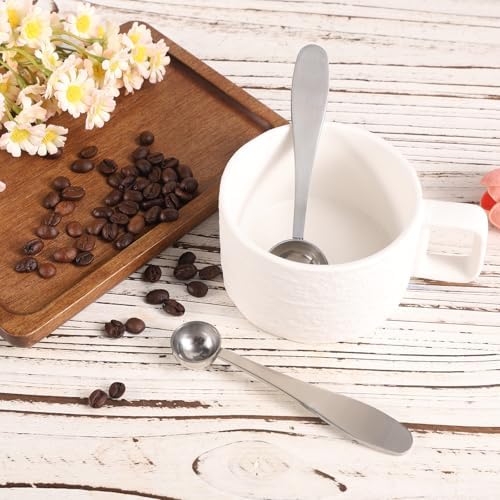 2pcs Stainless Steel 1 & 3 Gram Matcha Spoons