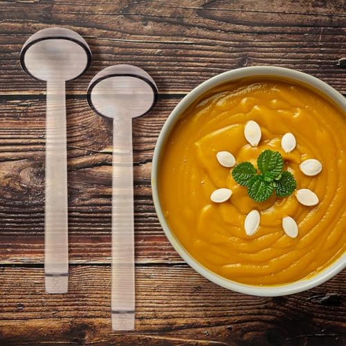 4 Pcs Clear Small Ladle 8.3 Inches Long Handle Ladles for Serving Spoons Mini Plastic Ladle for Serving Dressings Soup Punch Bowl Fruit Juices Cocktail Party Catering