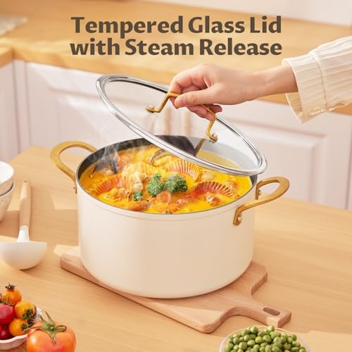 BEZIA 12QT Large Ceramic Nonstick Stock Pot with Lid, Induction Cooking Pot