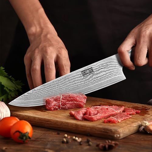 HOSHANHO Damascus Kitchen Knife Set 5PCS, Sharp Chef Knives Ergonomic Grip