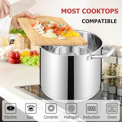 LIANYU 12 QT Stock Pot with Lid, 12 Quart Stainless Steel Soup Pot