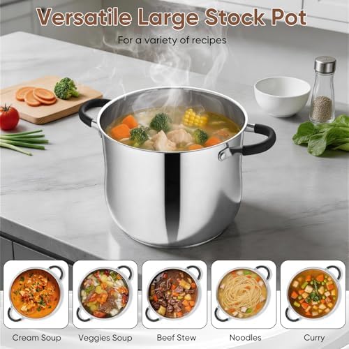 P&P CHEF 10 Quart Stainless Steel Stock Pot, Cooking Pot with Visible Lid