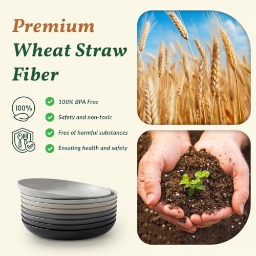 Homienly Wheat Straw Dinner Plates Set of 8-11 Inch, Alternative to Plastic, Microwave & Dishwasher Safe, Unbreakable Kids Plates with 4 Colors (Stone Grey)