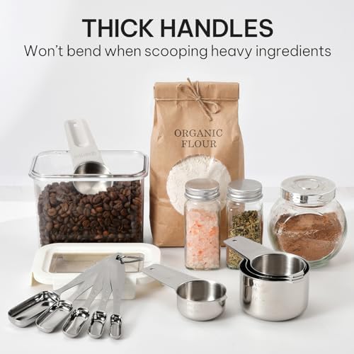 FANGSUN Stainless Steel Measuring Cups and Spoons Set of 10