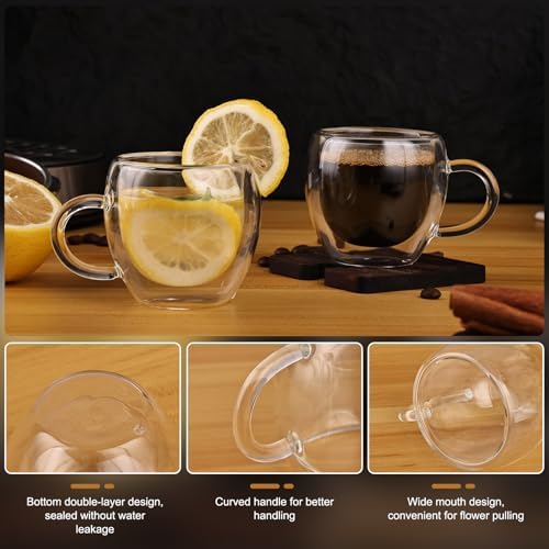 Espresso Cups Set of 4 with Handle, 2.5oz Expresso Coffee Cup, Small Expresso Shot Glasses, Clear Double Wall Insulated Espresso Mugs,Tazas de Cafe Expreso, Suit for Espresso Machine Accessories