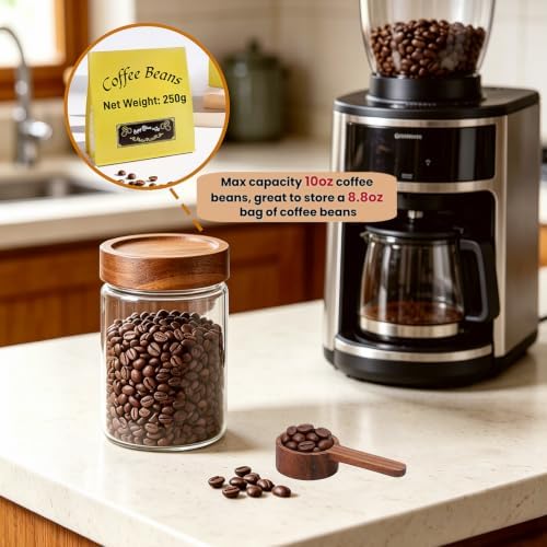 28 Fl oz Glass Food Storage Jar with Airtight Wooden Screw on Lid and Scoop