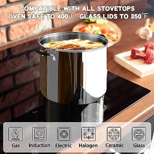Cook N Home Professional 3 Quart Stainless Steel Stock Pot with Lid