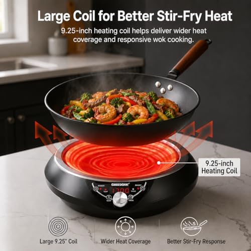 1700W Induction Wok Burner 120V, Includes 13.4-Inch Carbon Steel Wok