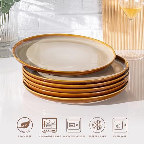 LERATIO Ceramic Dinner Plates Set of 6,10.5 Inch Reactive Glaze Plate Sets