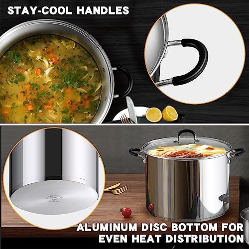Cook N Home Professional 12 Quart Stainless Steel Stock Pot with Lid