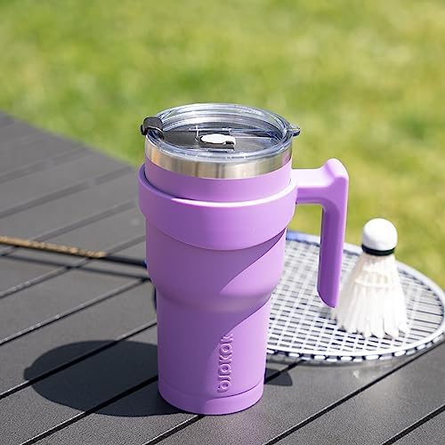 BJPKPK 10 oz Mini Tumbler with Lid, Straw & Handle, Insulated Steel Cup