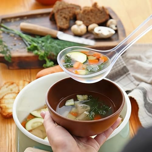 Large Plastic Serving Spoons,Disposable Heavy Duty Serving Spoons,Long Handle Scoop Soup Rice Ladle for Party Catering Buffet Restaurant,20 Pieces (Clear)
