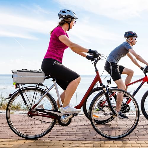 RAYMACE Bike Rear Rack Bag, Bike Trunk Cooler Bag