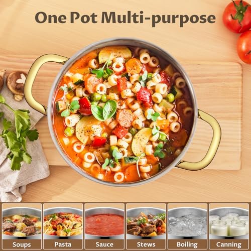 BEZIA 8 QT Stainless Steel Stock Pot with Lid, Uncoated Cooking Pot