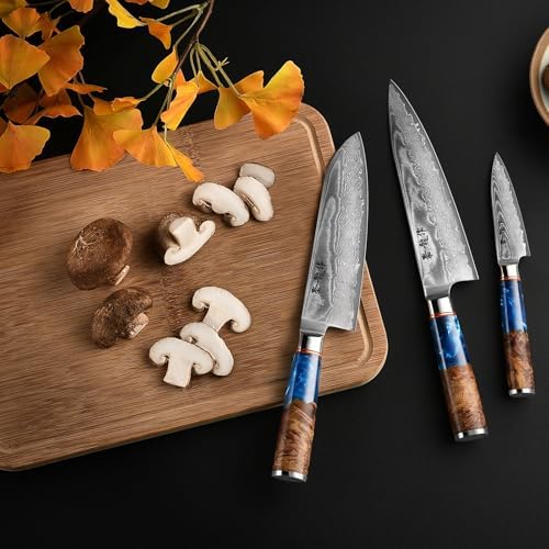 Japanese Chef Knife Set 3 Pcs, 67-Layer Damascus Kitchen Knife Set with VG10 Steel Core, Professional Sharp Damascus Knives with Ocean-Blue Ergonomic Handle, Include Elegant Cooking Gifts Box