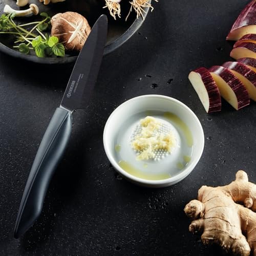 KYOCERA Advanced Ceramic Grater – Sharp Ginger, Garlic & Cheese Shredder