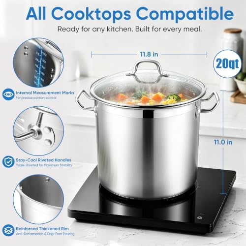 E-far 20 Quart Tri-Ply Stock Pot with Lid, Induction Stainless Steel Pot